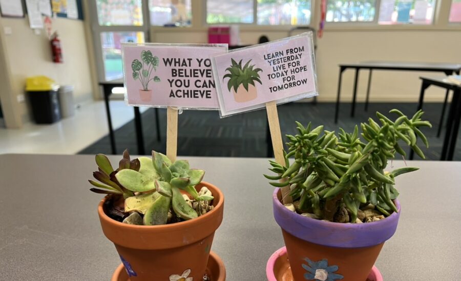 Fabulous Student projects at Moama Anglican Grammar