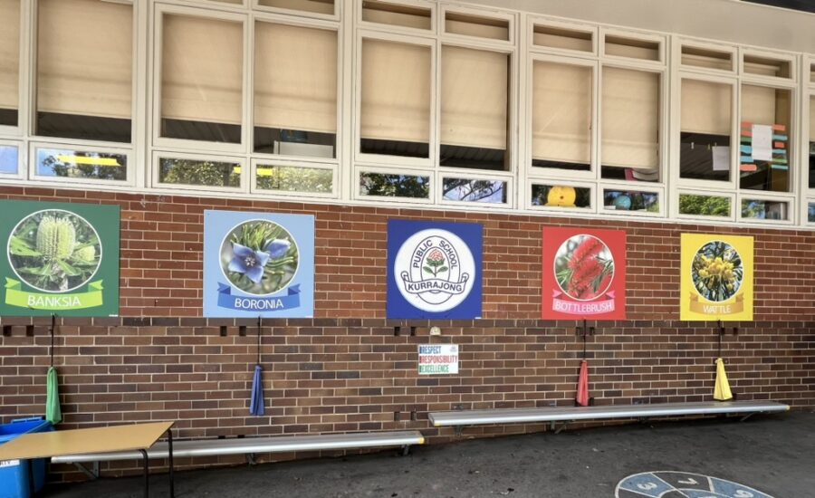 Introducing the Get Happier curriculum: and Extending it!